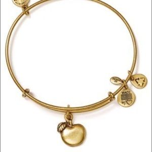 Alex and Ani Gold Apple Bracelet